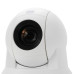 PTZ-камера CleverCam 5420U3HS POE (4k, 20x, USB 3.0, HDMI, SDI, POE, Tracking)